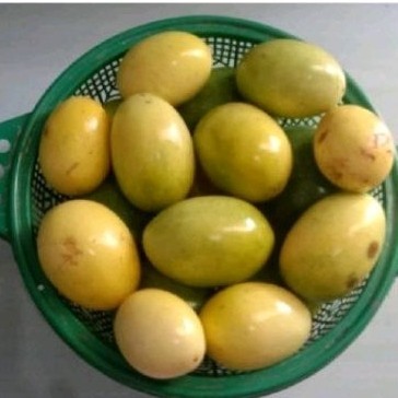 

Buah markisa sgar 500 gr olahan ius