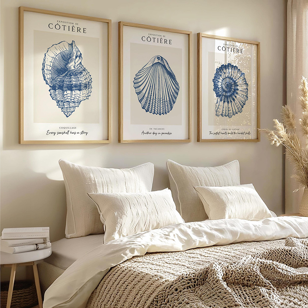 

Coastal Shell Wall Art Set of 3 Nautical Sea Life Beach House Prints Beach Bedroom or Living Room Decor Minimalist Ocean Posters