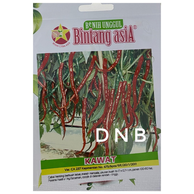 benih cabe keriting KAWAT 1 gr BINTANG ASIA