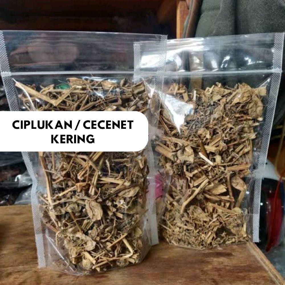 

Ciplukan Cecenet Kering 100g Herbal Asli Original