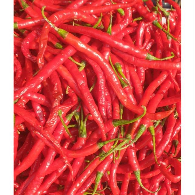 

Paket Cabe cabai merah keriting kriting 1kg 1 kg