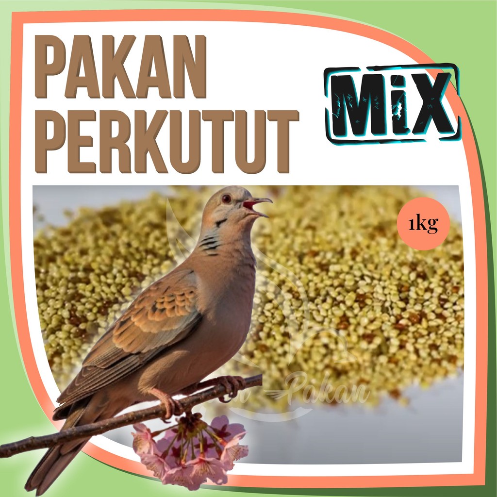 Pakan Burung Perkutut 1Kg Supaya Gacor Kiloan Biji Sawi Gabah Kenari Seed Milet Merah Milet Putih