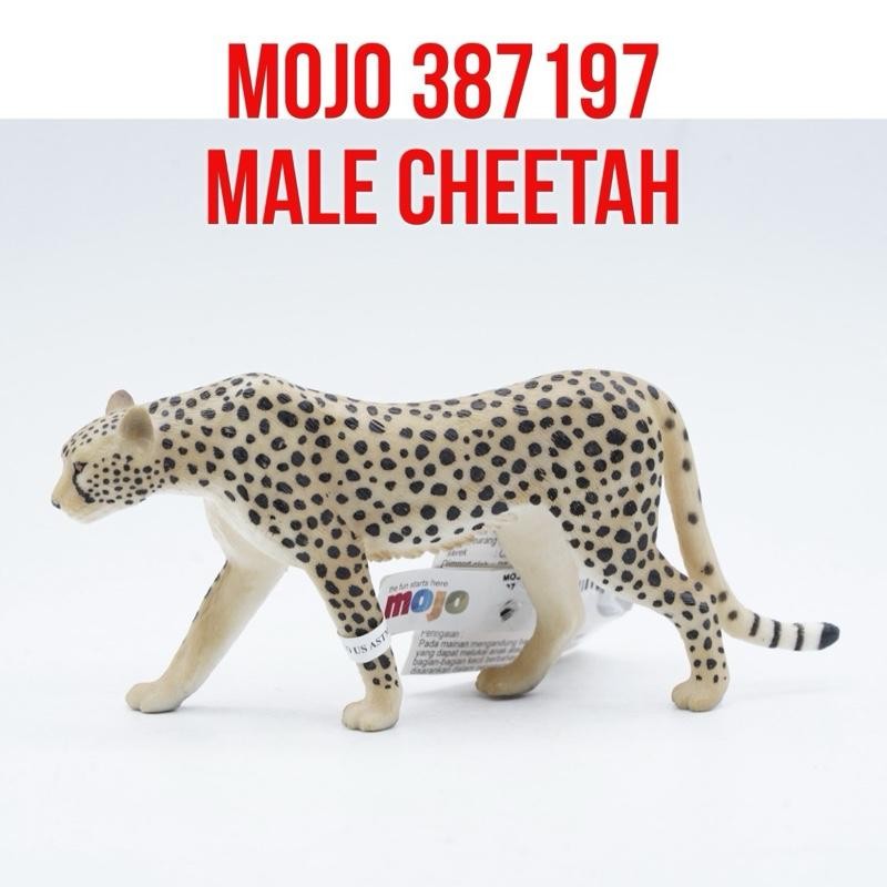 MOJO 387197 Male Cheetah Citah Jantan Acinonyx jubatus Mainan Binatang Miniature Hewan Animal Figuri