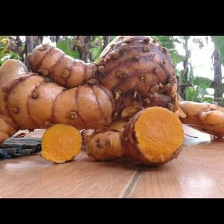 

herbal temulawak fresh