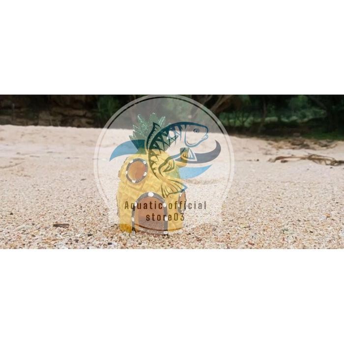 Hiasan aquarium spongebob / hiasan aquarium rumah spongebob / hiasan aquarium / spongebob / patrick 