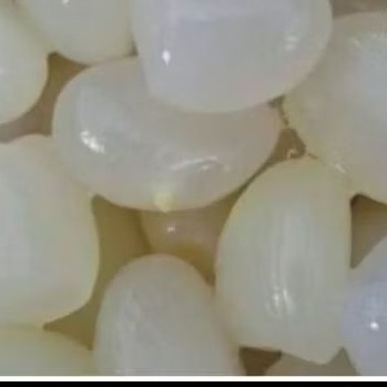 

Kulang Kaling Fres Buat Manisan Atau Buat Kolak