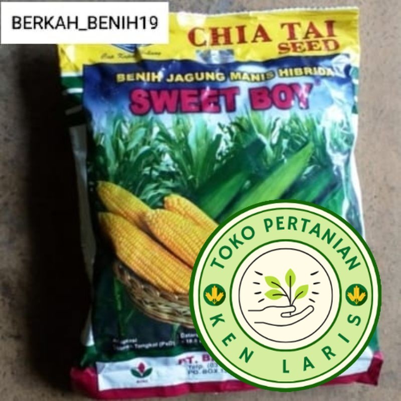 KEMASAN RIPACK TERLARIS 250gr JAGUNG MANIS SWEET BOY UNGGULAN