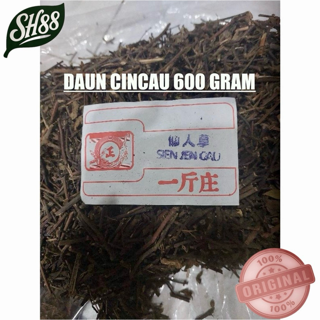 

DAUN CINCAU HITAM KERING 600 GRAM DAUN CIN CAU CINCAO CIN CAO BAHAN DASAR LIANG TEH