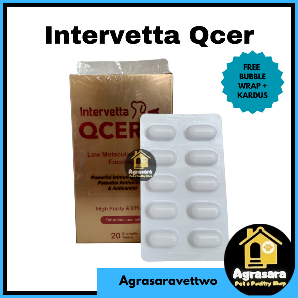 Qcer Intervetta (1 Box )- Obat Kanker / Tumor Kucing Anjing