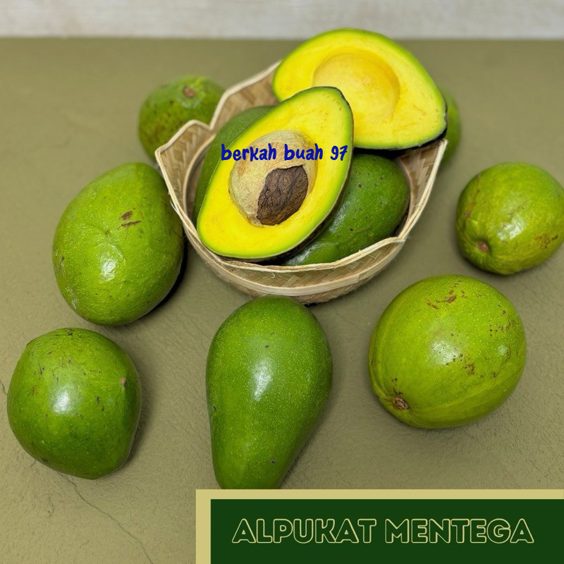 

Alpukat Mentega muria Super/ grade A+/ supermarket grade
