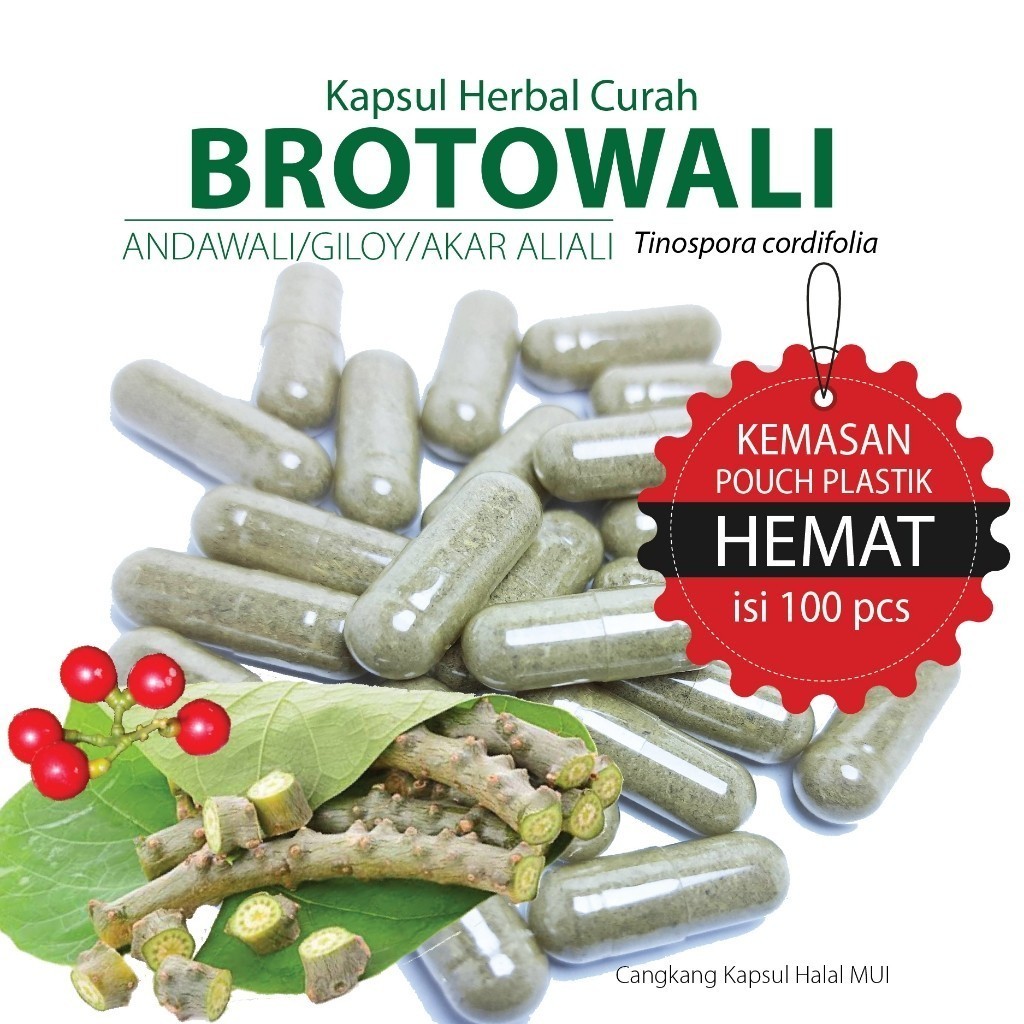 

BROTOWALI Kapsul Herbal Kemasan Hemat - isi 100 pcs KTM HERBAL