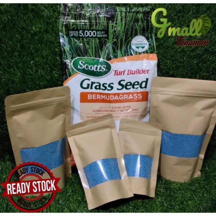 Biji rumput bermuda 250gram - benih bermuda - bibit rumput bermuda Benih rumput siap tanam