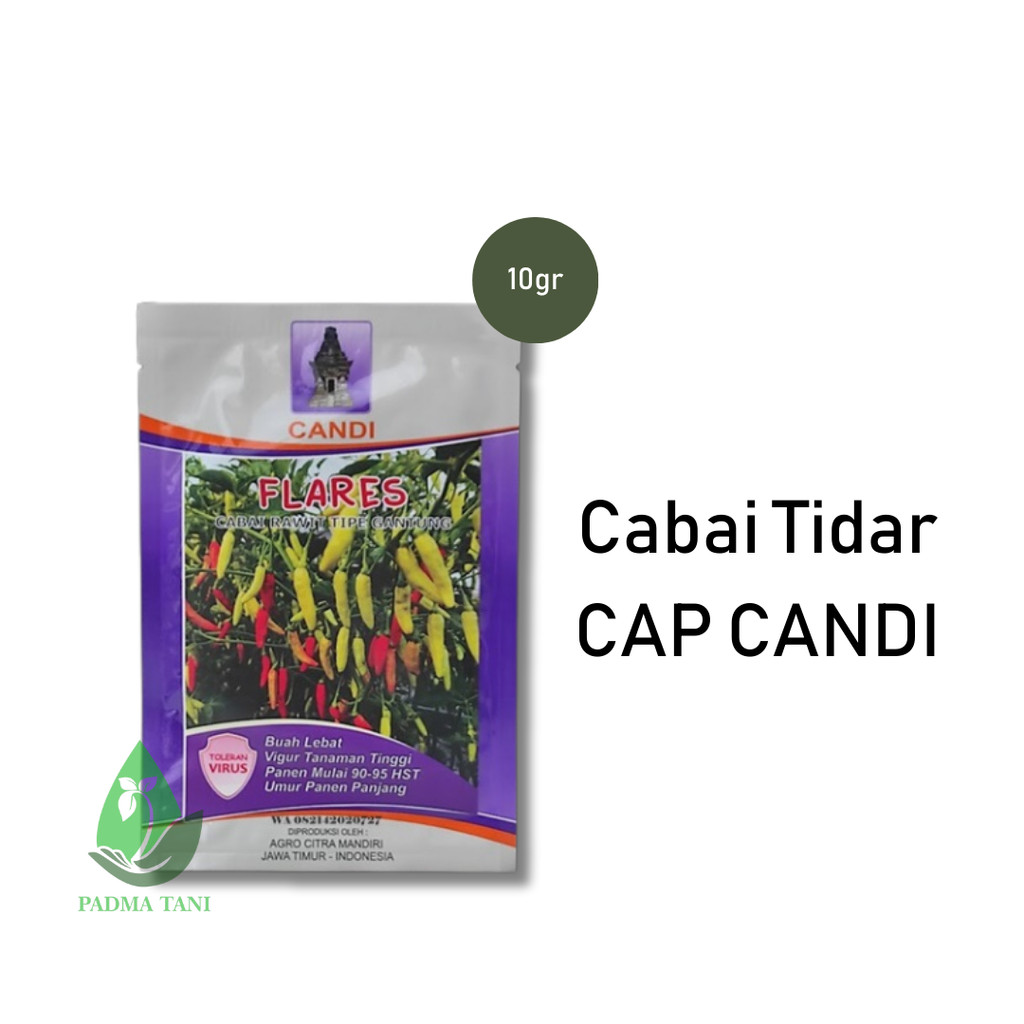 

New Cabe Tidar Tahan Virus Cap Candi Saudara dr Viral Kemasan 10gr Yg Viral Original Pabrik Candi