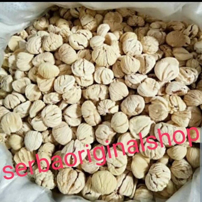 

Best Seller lakci / kacang berangan / chestnut kering