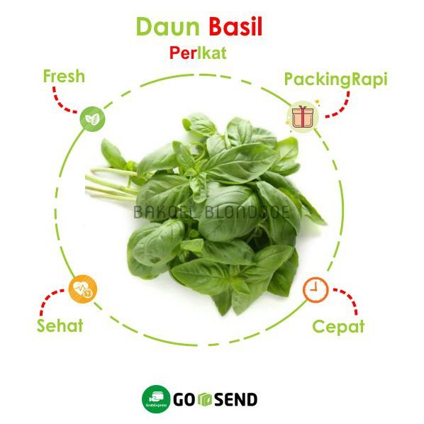 

DAUN BASIL / SWEET BASIL BEST SELLER