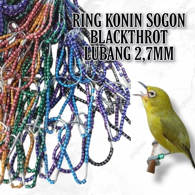 RING BURUNG SOGON PLECI KONIN BLACKTHROAT LUBANG 2,7MM
