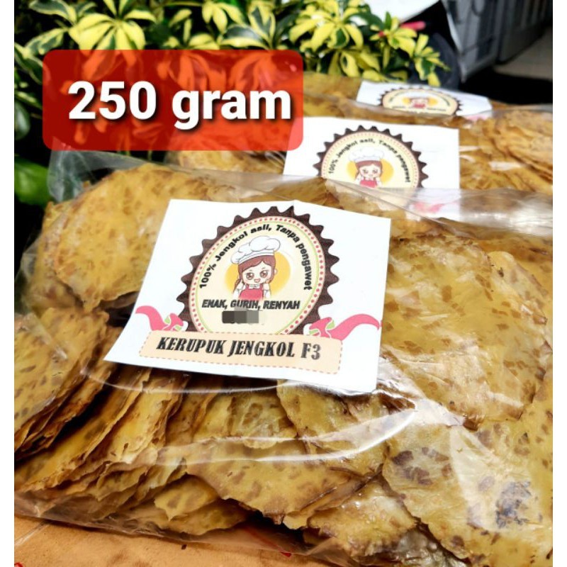 

Kerupuk Jengkol Mentah Dari Padang 250 Gram Kualitas Bagus