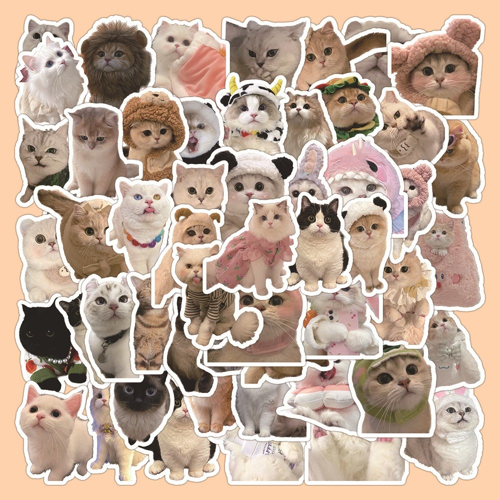

60pcs Cute Cat Expression Sticker Pack DIY Phone Bike Wall Scrapbook Motorcycle Waterproof Cartoon Sticker for Kids Toys Gifts