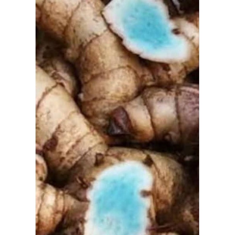 

1kg temu hitam/temu ireng segar organik K. D