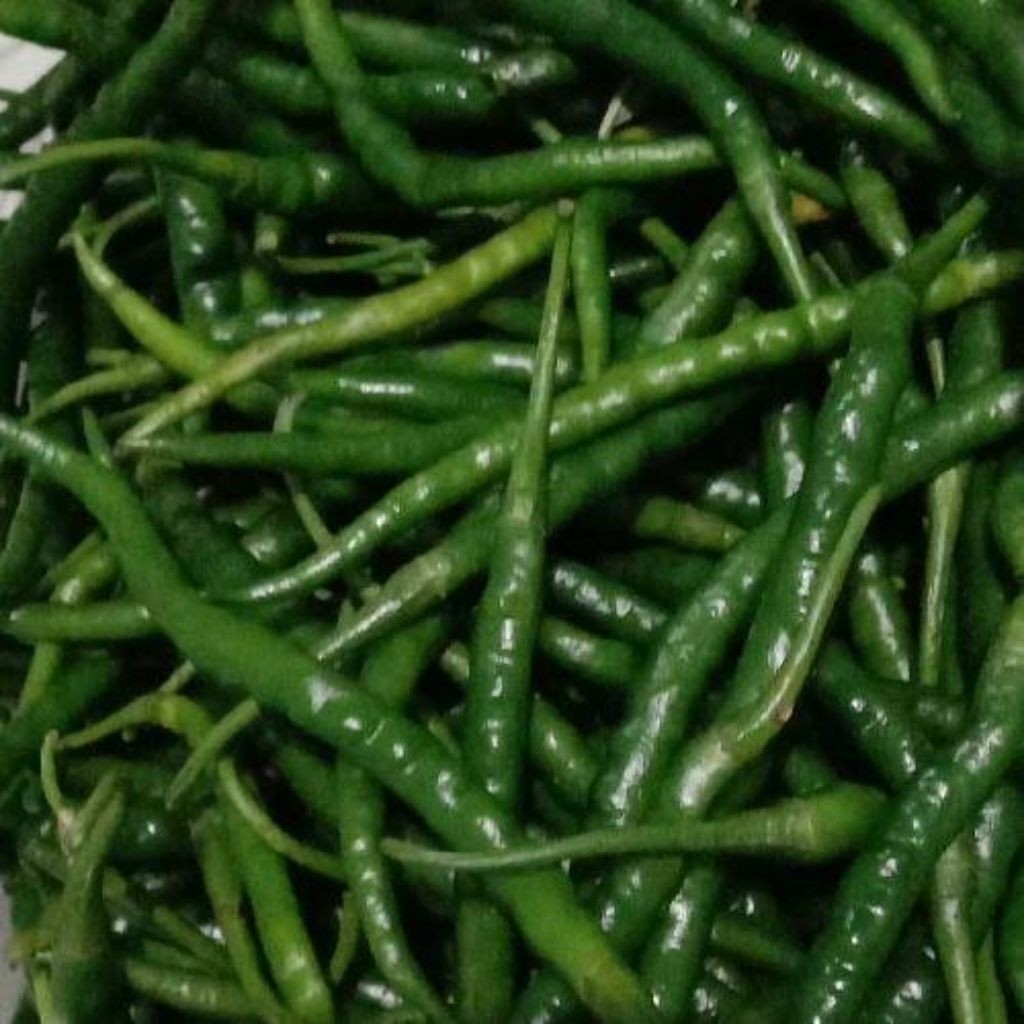 

Paket Cabe Keriting Hijau Segar