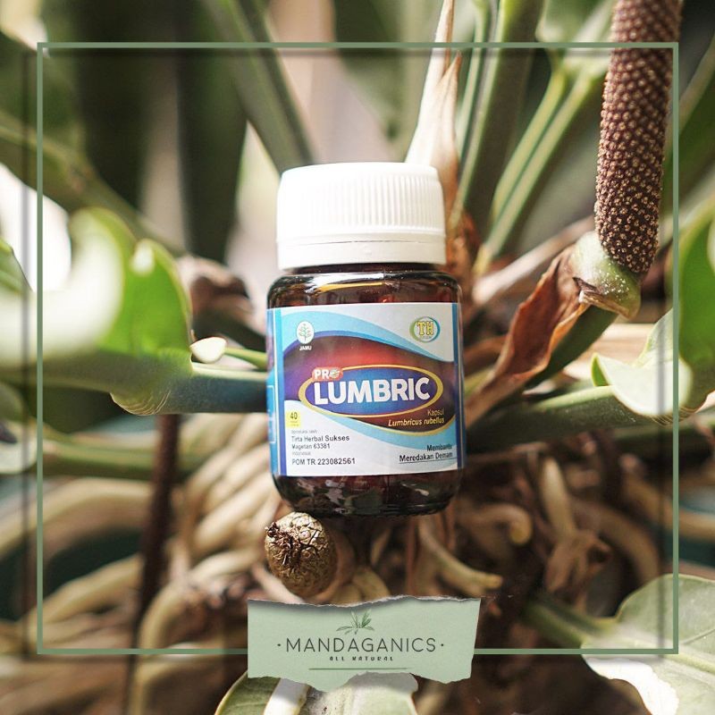 TERLARIS LPRO LUMBRIC by bioTH THS | L PRO LUMBRIC KAPSUL CACING BIO TH ORIGINAL