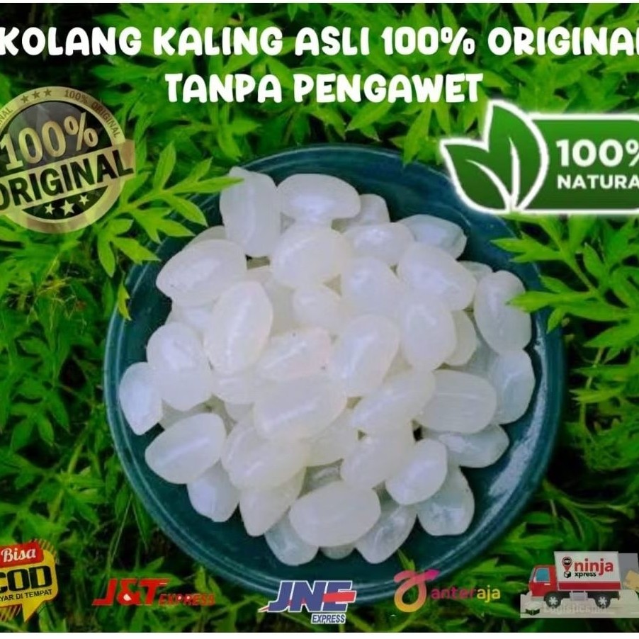 

Biji kolang kaling super besar & kenyal 1kg 100% alami tanpa bahan campuran