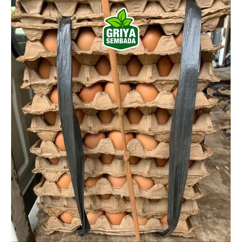

Telur Ayam Negeri Grade A Isi 10 Kg Griya Sembada