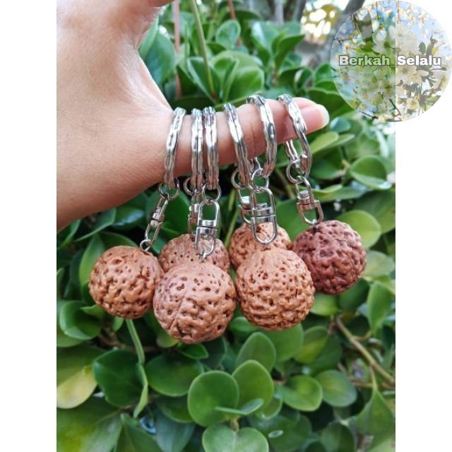 Rudraksha Gantungan Kunci Jenitri Jenitri Berkah_Selalu