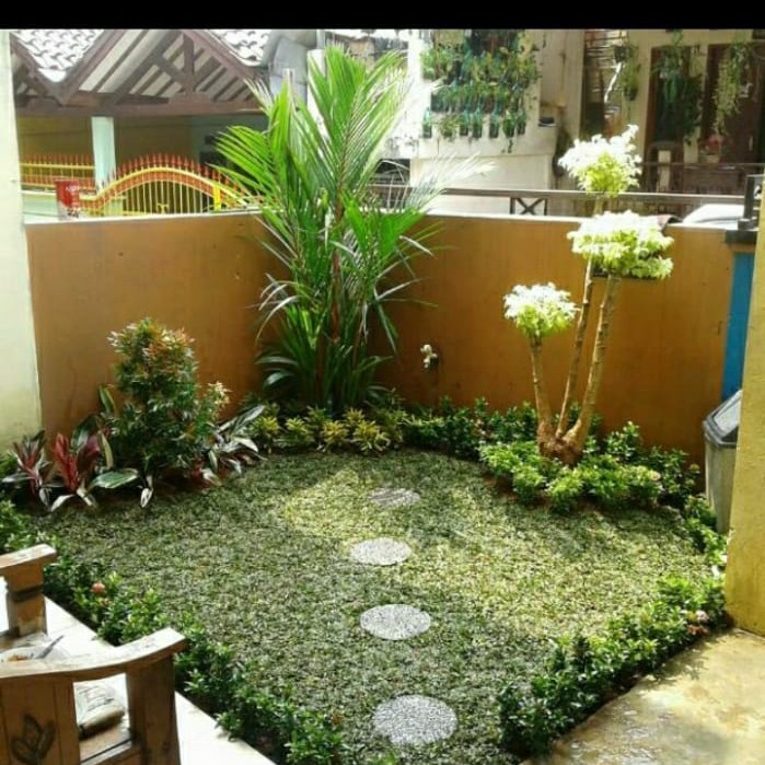 Paket tanaman hias Bunga hias hidup