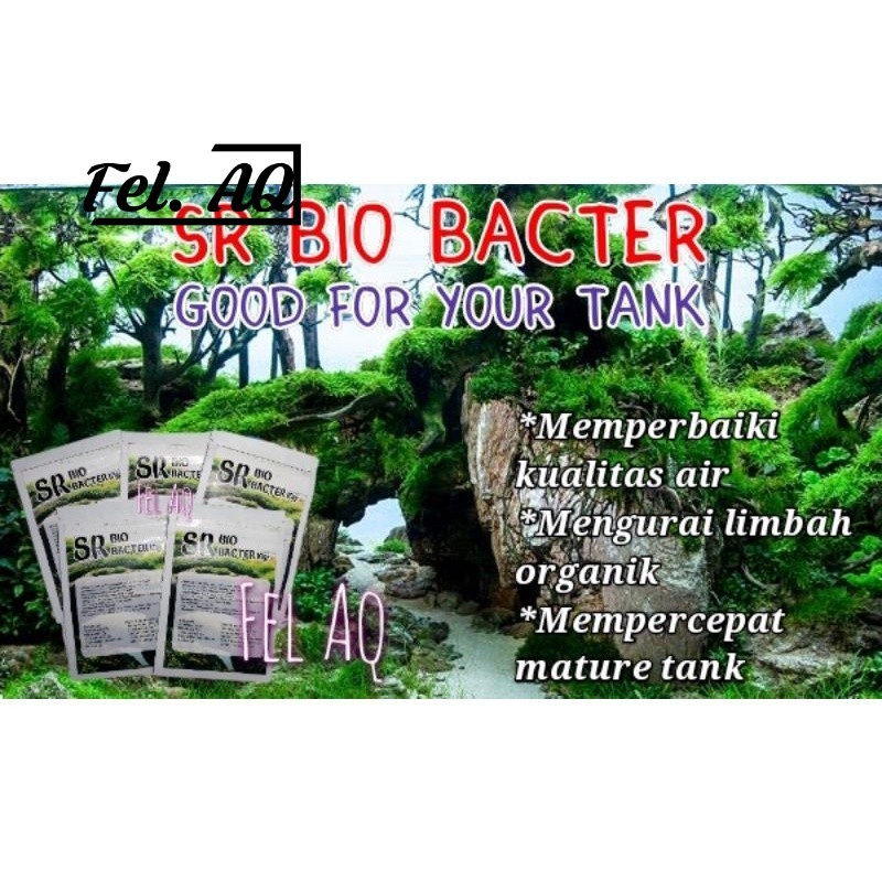 SR Bio Bacter 10g Bacteria Starter Bubuk Bakteri Aquarium Aquascape Serbuk Pengurai Amoniak Amonia