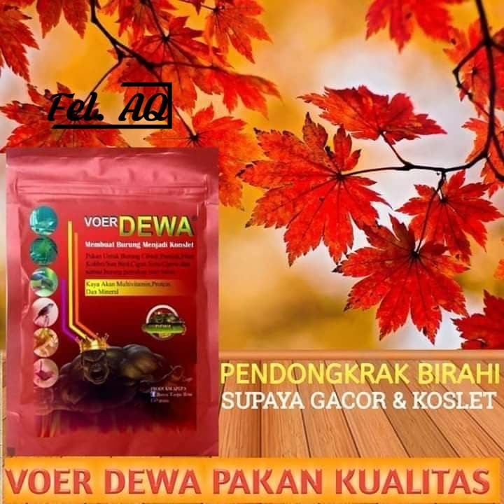VOER DEWA VOER HALUSMEMPERCEPAT BIRAHI UNTUK BURUNG CIGUN PRENJAK TLEDEKAN CIPAUW DAN BURUNG LAINNYA