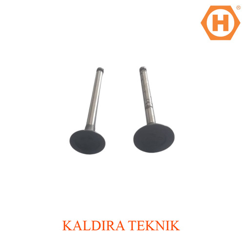 PROMO CUCI GUDANG - VALVE IN EX MESIN DIESEL YANMAR TS50