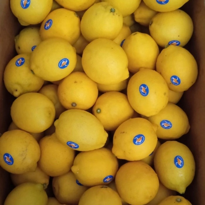 

LEMON IMPORT FRESH