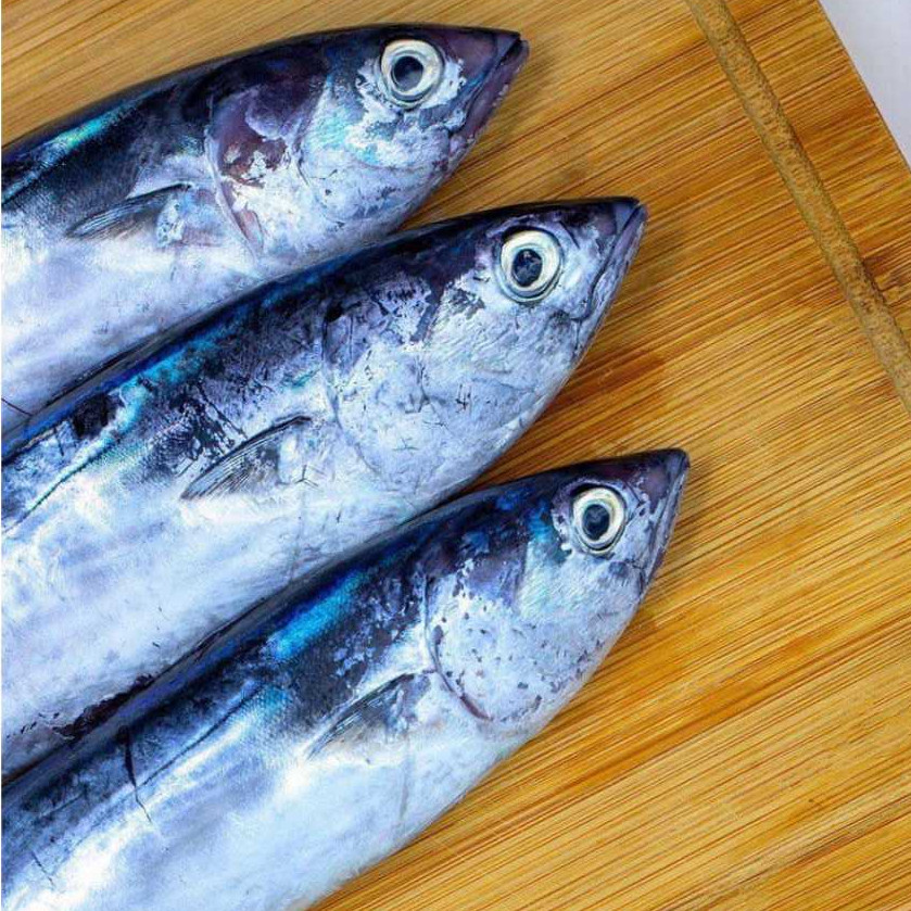 

IKAN TONGKOL LISONG DEHO FRESH & FROZEN