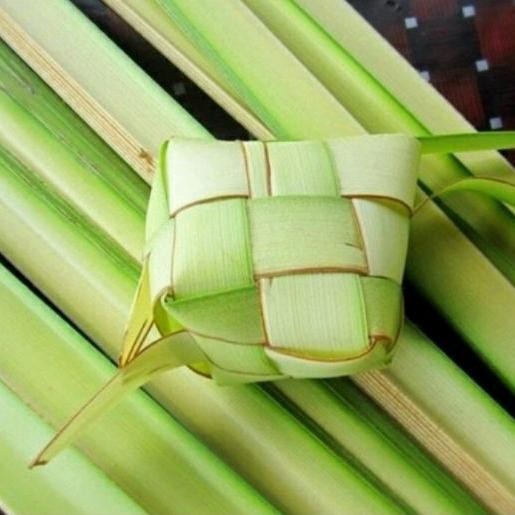 

ready stok janur kelapa muda daun kelapa muda buat bikin ketupat 1kg isi banyak