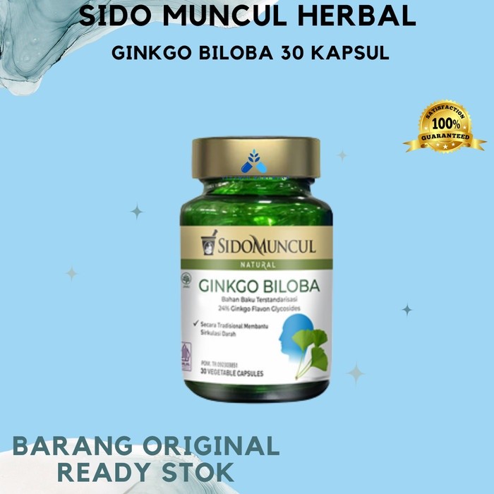 Sido Muncul Herbal Ginkgo Biloba 30 Kapsul - HIJAU - vm2