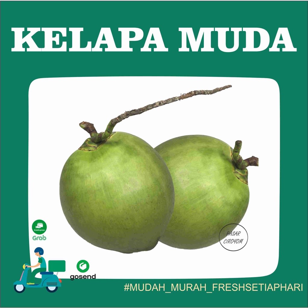 

KELAPA MUDA FRESH MURAH BANDUNG 1 BUAH