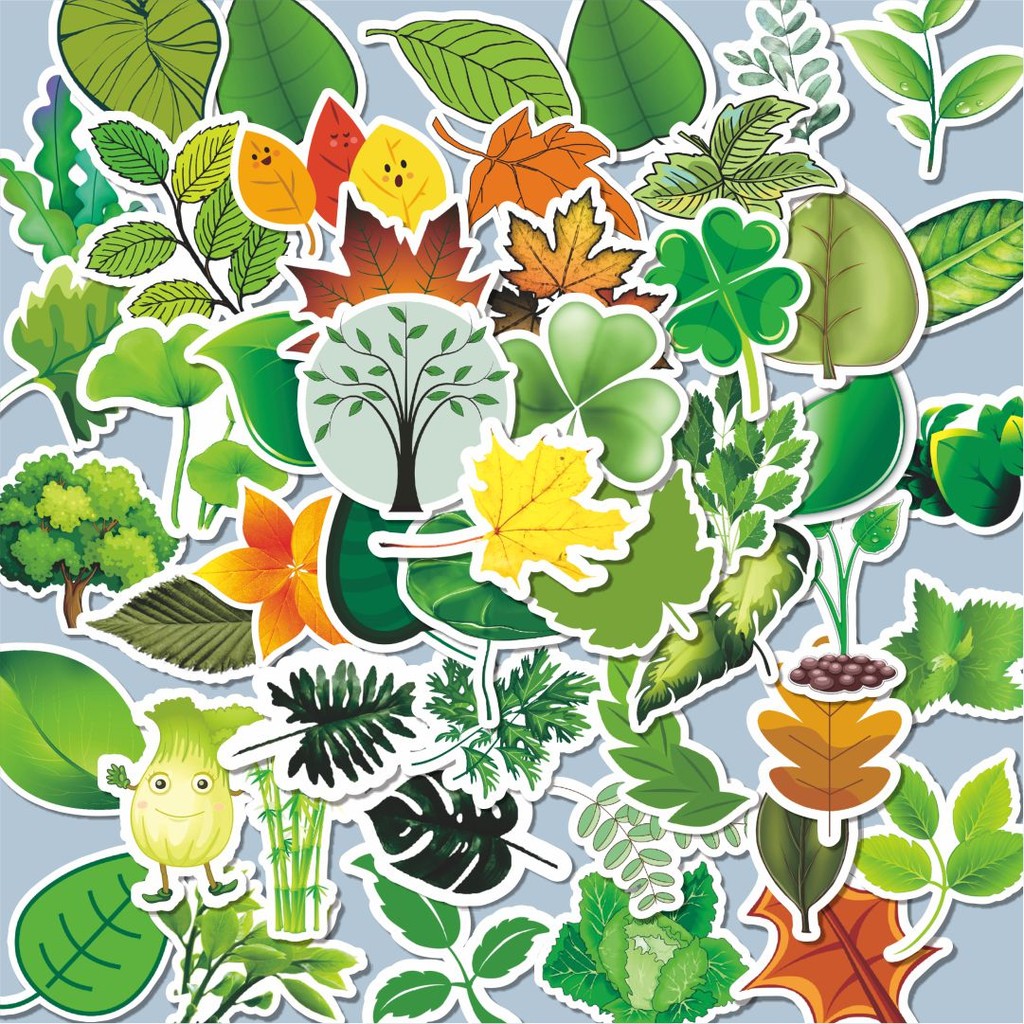 

100PCS Lucu Stiker Leaves & Flowers [Daun & Bunga] Stiker Aesthetic Stiker Anti Air Stikers Berperekat Waterproof sticker decal buat Motor Helm Buku Journal Koper Casing HP Laptop Botol Minum Hadiah anak