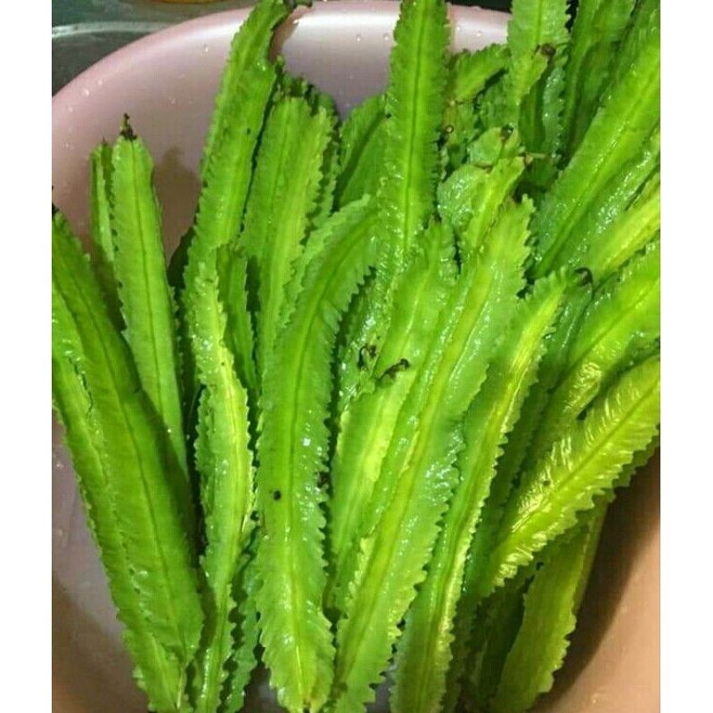 

sayuran kecipir atau biasa di sebut jaat khas sunda 500gr Herbal COD