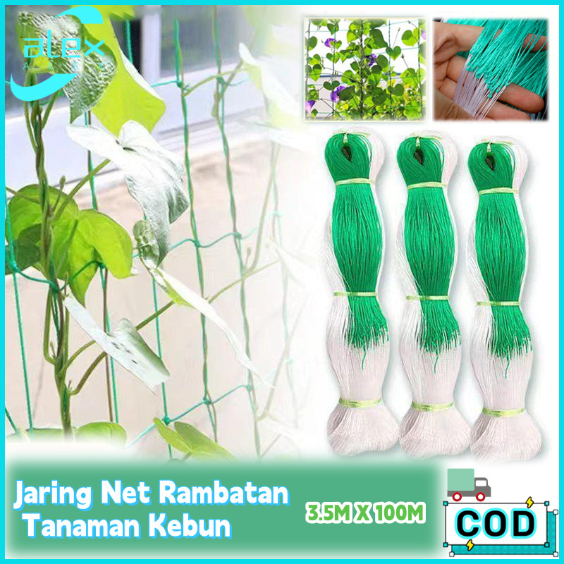 3.5M*100M Jaring Untuk Tanaman Jaring Tanaman Rambat Jaring Rambatan Tanaman Climbing Net Jaring Tan