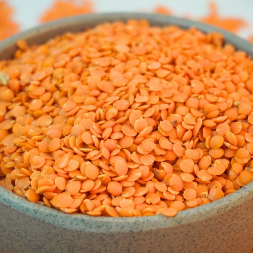 

Adas Merah (Lentil Merah) – Sumber Protein Nabati, Praktis & Bergizi From Kamal Indo