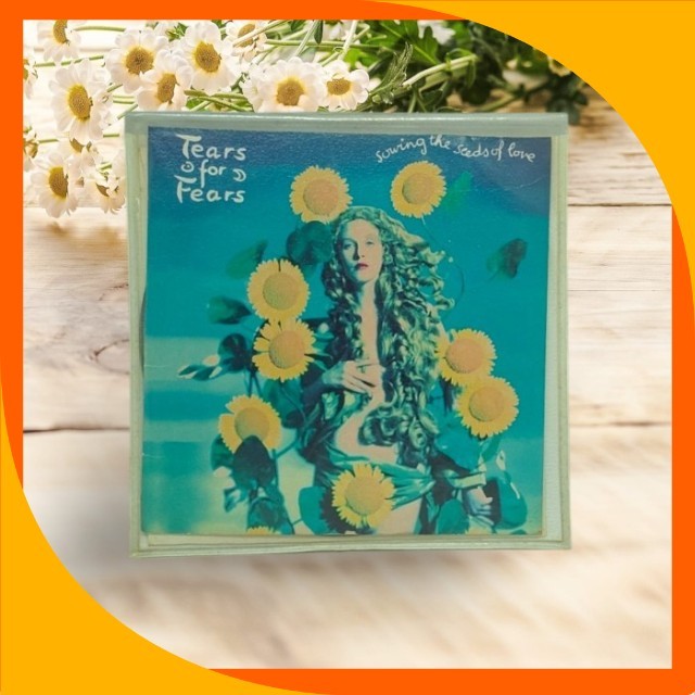 CD Audio Musik Tears For Fears - CD Sleeve Case