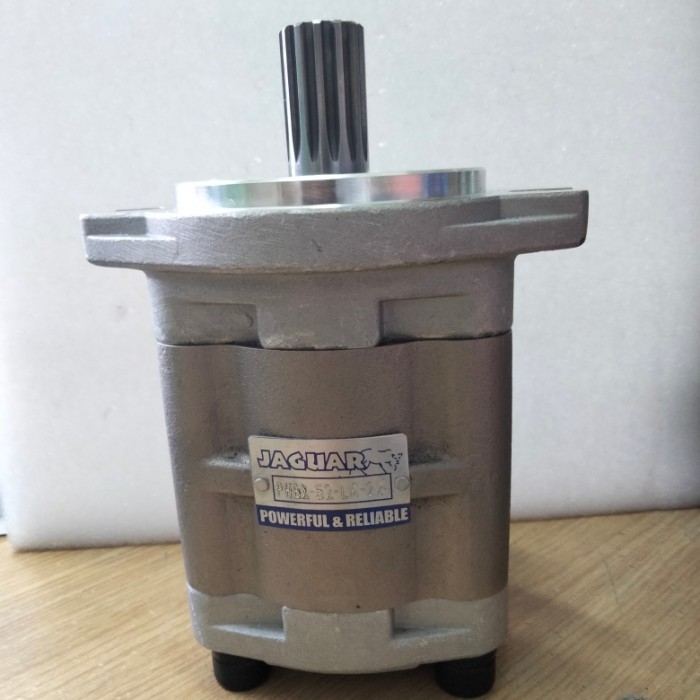 

Gear Pump PHBX-52-LA-22 / Gear pump as gigi 13 / Gearpump Jaguar PHBX