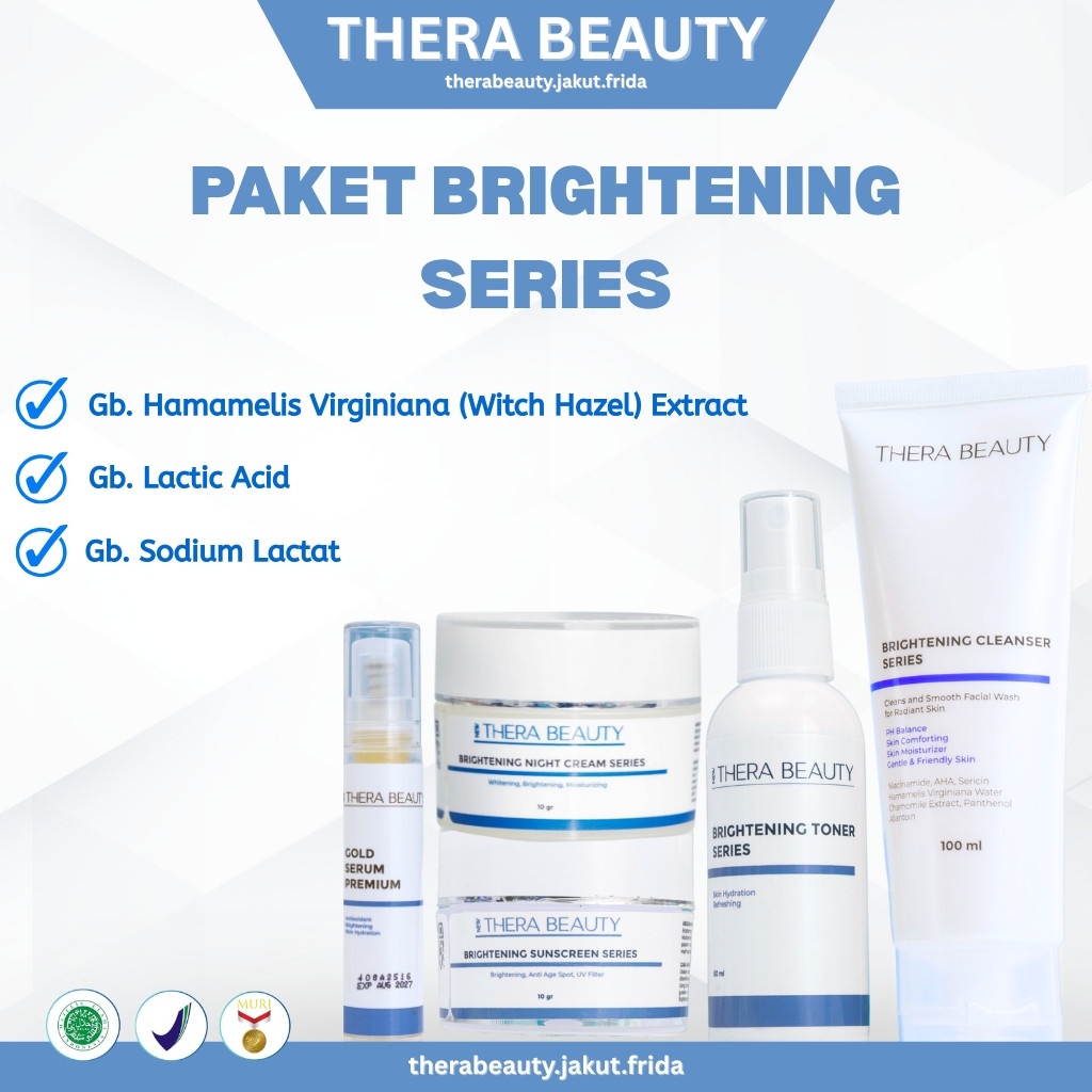 THERA BEAUTY PAKET PREMIUM BRIGHTENING ACNE - THERA BEAUTY SKINCARE WAJAH BY  HENI PURNAMA