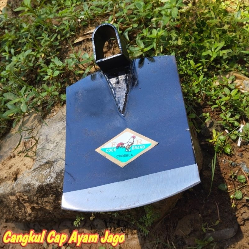 Alltechshop_ Cangkul Tanah Cap Ayam Jago Dan Dorang Gagang Kayu Jati Cap Ayam Lokal Tebal