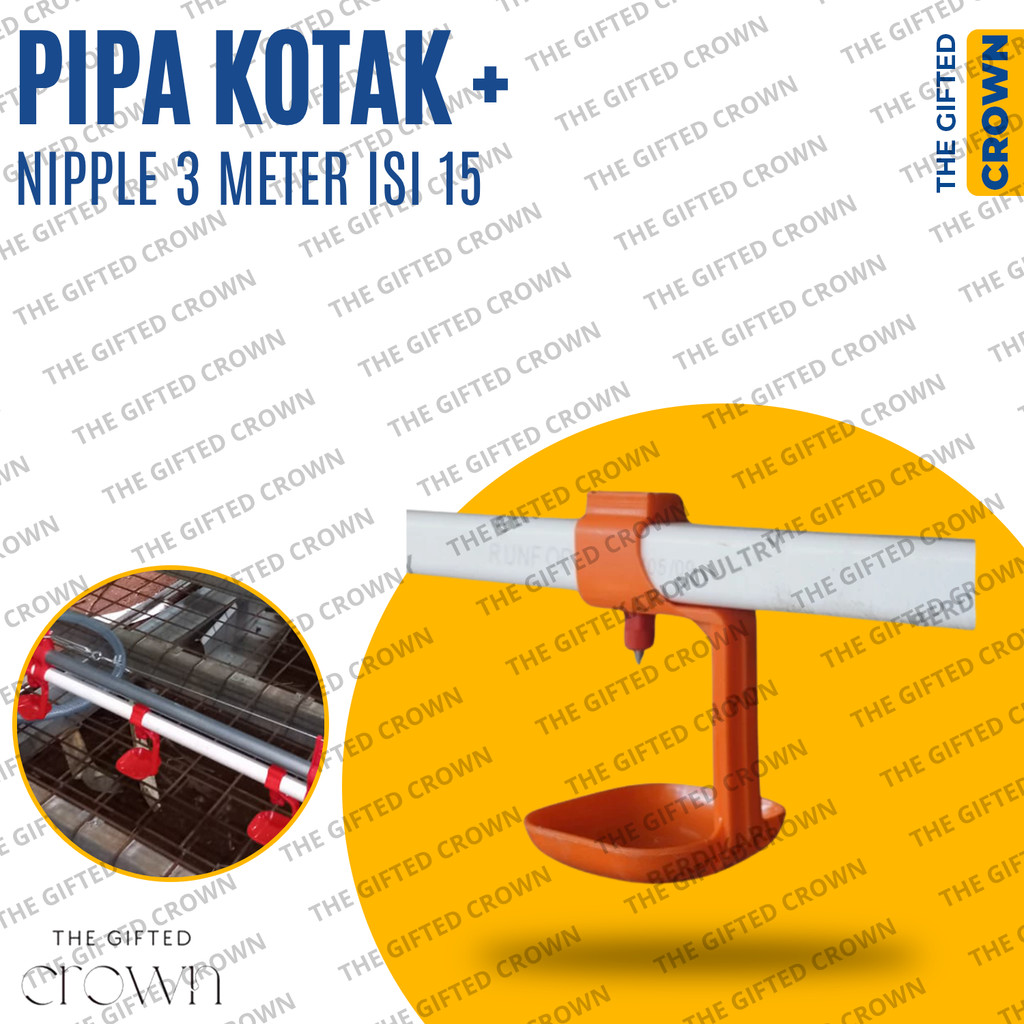 Pipa Kotak Plus Nipple 3/4 15 Lubang - Pipa/Paralon Kotak Nipple/Nipel/Napel/Nipple/Niple Ayam - Ala