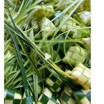 

Promo Cangkang ktupat' ktupat kosong 5 0cs