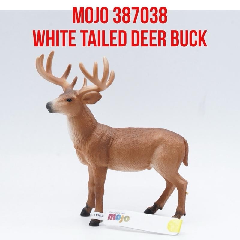 MOJO 387038 White Tailed Deer Buck Rusa Ekor Putih Jantan Odocoileus virginianus Mainan Binatang Min