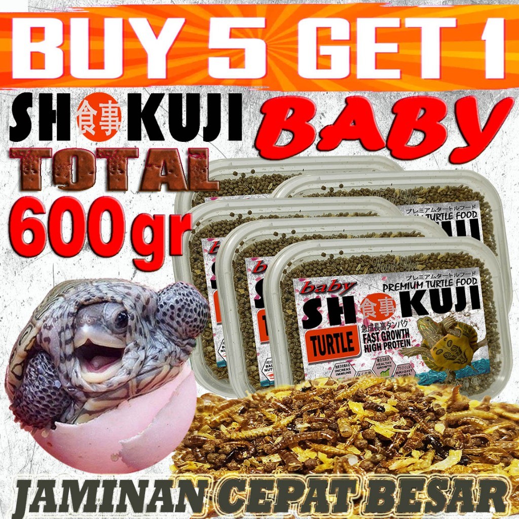 SHOKUJI MAKANAN BAYI KURA-KURA AIR BRAZIL RES CST ALIGATOR MONBI RAZOR PIPUT MATAHARI KURA AMBON DAM