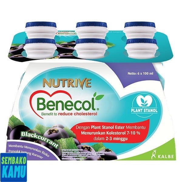 

Nutrive Benecol Blackcurrent No Add Sugar 6 pcs x100 ml